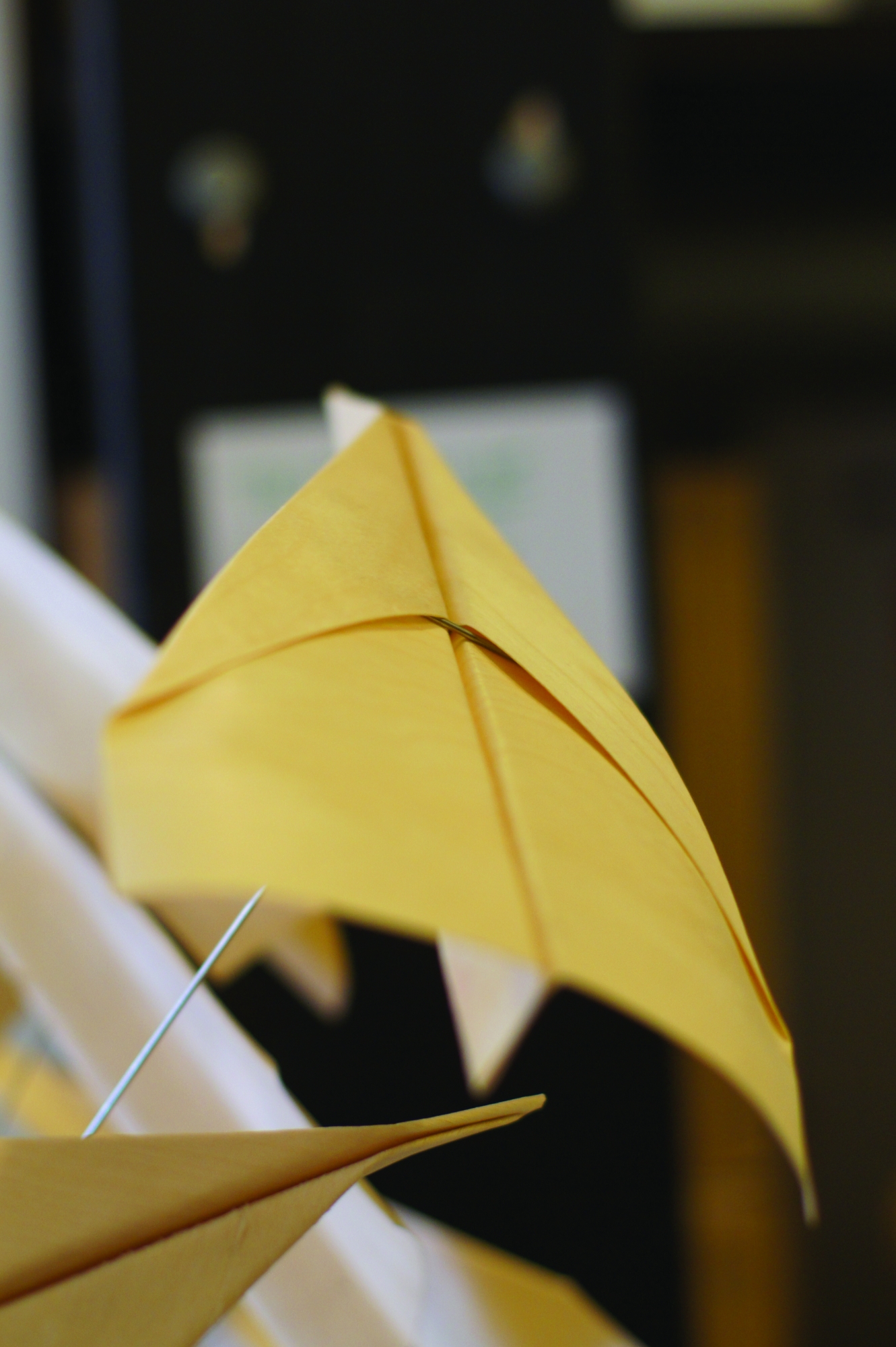 TR747 - Come Fly With Me - billede ' + (index + 1)