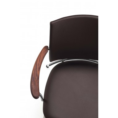 GM4116-26 - Panther Spisebordsstol M. Arm - billede ' + (index + 1)